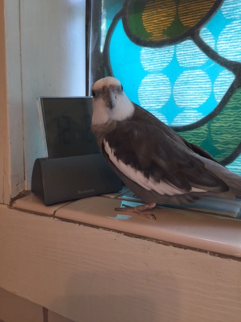 Mom, seriously? Well sure you can take our photo together, but we'll need to reschedule your re-training for another time.