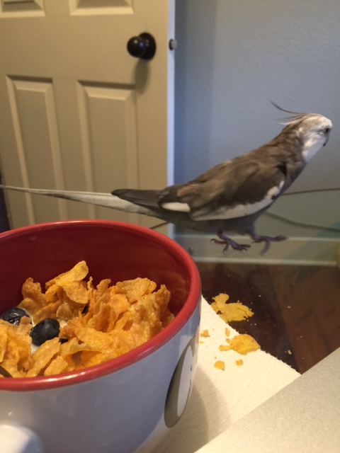 Call me again when you taste more like "waffles," boys....