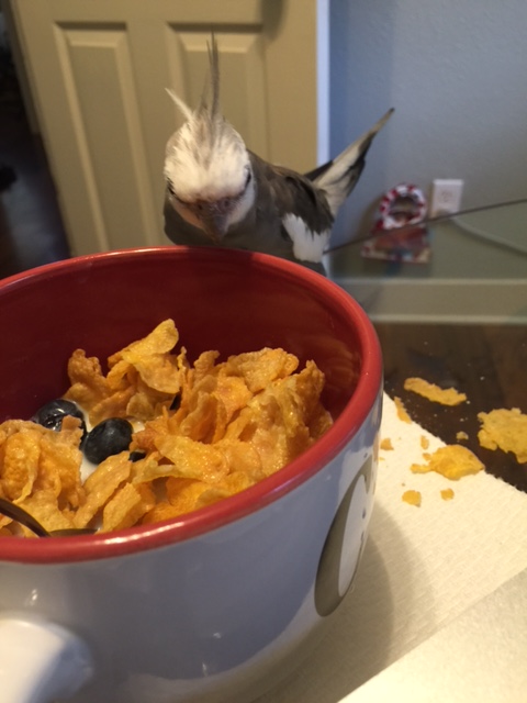 Talk about a lack of presentation.