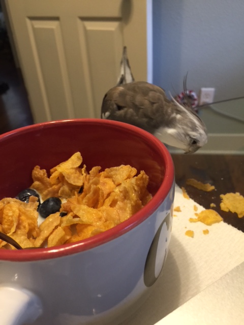 Hmmm. Well, here goes....