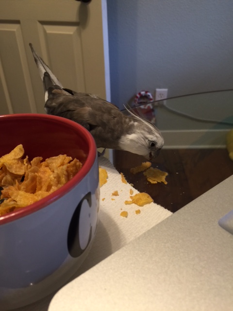 No, this will never do.