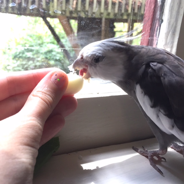 The closer I get to finishing my breakfast, the more the creative (um) juices begin to flow.