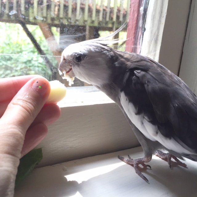 In fact, I can't help but notice I've created (yet another) new fashion trend this morning - without even trying!