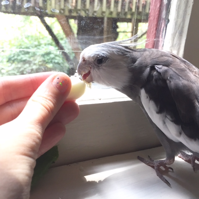 This really is one of my all-time favorite breakfasts too (although I find it is most flavorful when served "en waffle.")