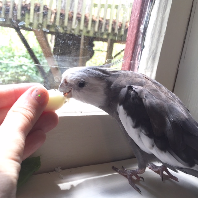 Well this looks delicious - don't mind if I do.