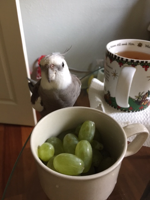 What do you mean, "Try one you'll like them?" As if!