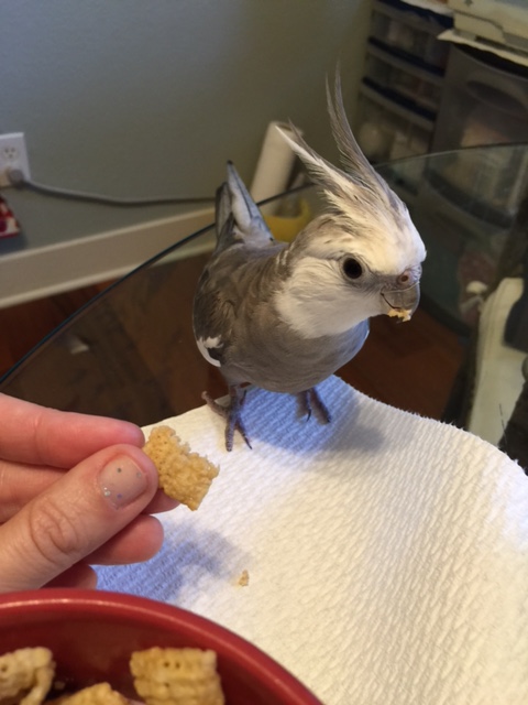 "Last one?" What do you mean "last one?" What about all the prey still quarantined in that large crunchy structure? 