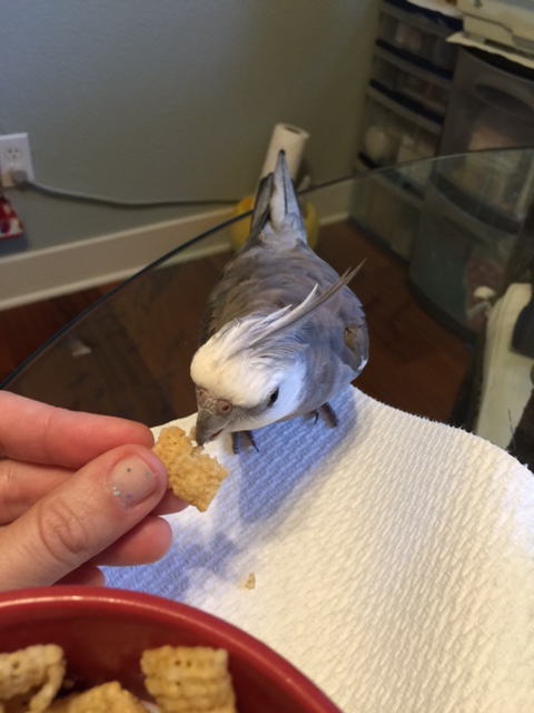 Sigh. Clearly we need an additional training to focus on the meaning of "my prey."