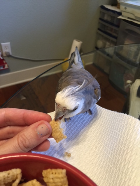 What is really remarkable is that she seems to remember our training.