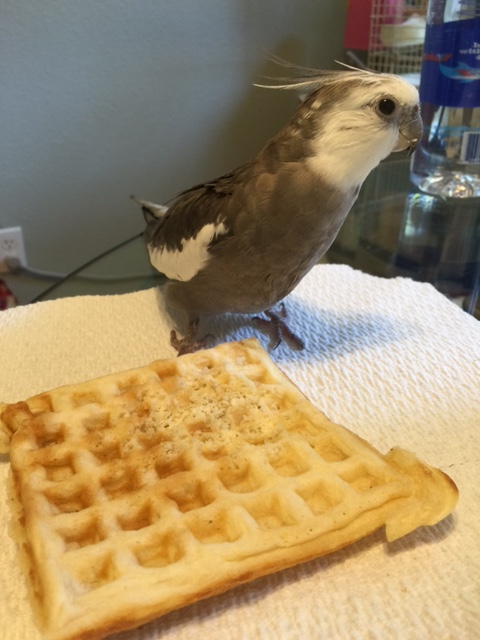 Quick security check...