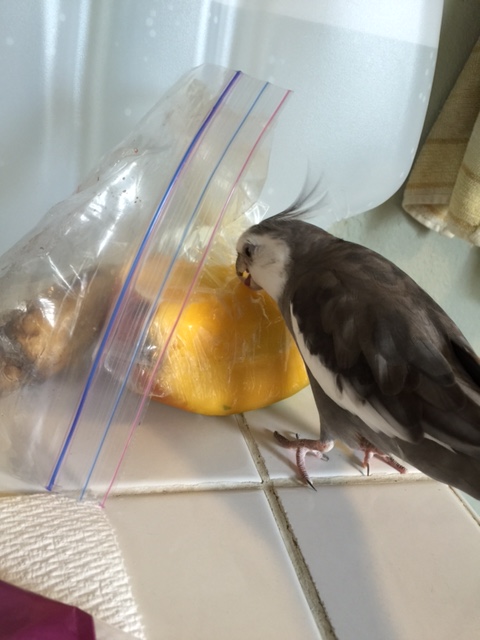 In fact, as a caring mentor, I will even help you.