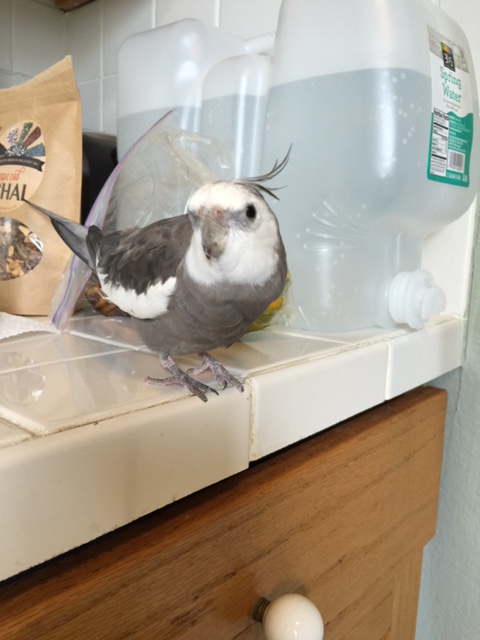 Hey, Mom - how about we go "prop-less" for today's shoot?