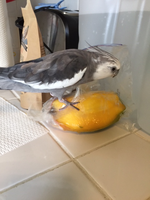 What do you mean - you like it here and don't want to move over?