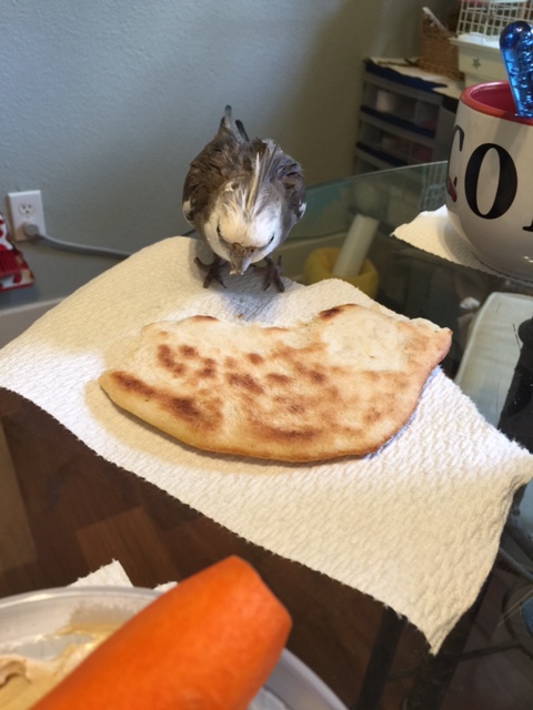 The other dinner guests seem a bit pushy, though. They keep looking at me as if, well, I'm supposed to offer them some.