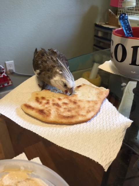 Nom nom CHOMP crunch crunch nom nom nom...