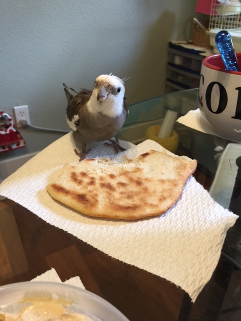 Yes Mom? Oh that's too bad the other guests don't have a dish like this to enjoy. Better luck next time, eh?