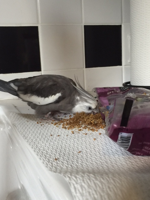 I've met a lot of...chomp chomp....fans in my....crunch crunch crunch...time....