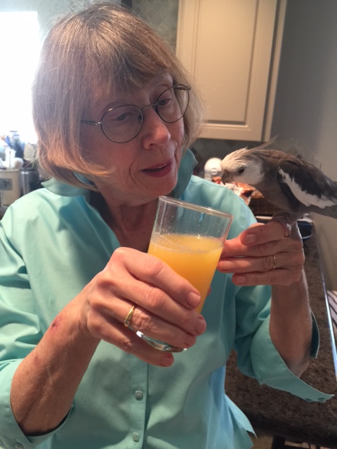 So cheery, in fact, that they are actually letting me get quite near the bubbling liquid....which is usually closely guarded.