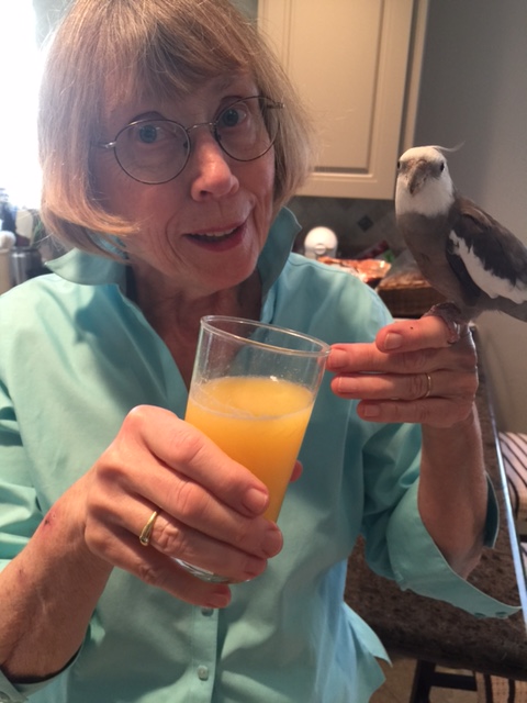 Uh oh. Here comes Mom. She doesn't look nearly so cheerful as the rest of the flock.