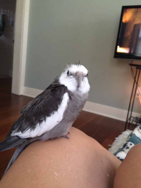 If necessary, used focused "cuteness" to wake her up.