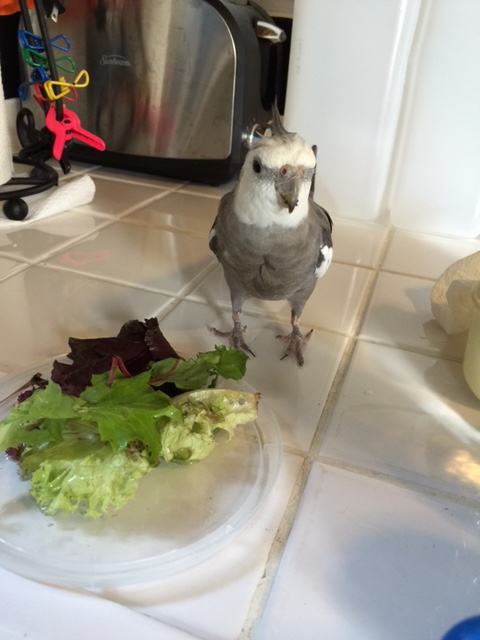 Green makes you look like - me!