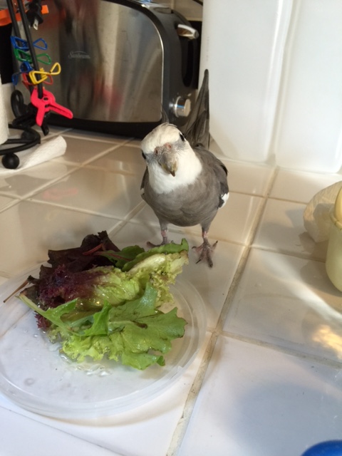 Maybe I should have toned down that last message....of course everyone wants to look this good...