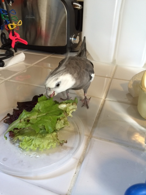 Oh so good for you....