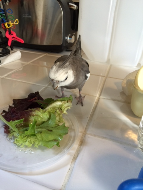 So how're you feeling, boys? Feeling confident? So look, here's what we're going to do.