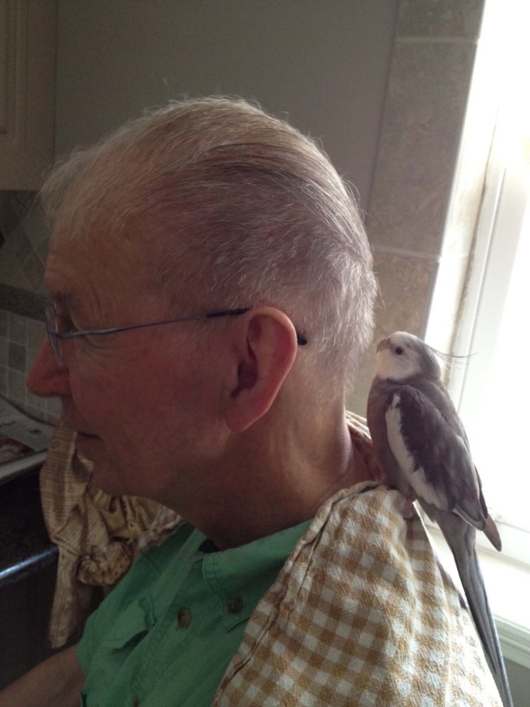 And I always feel especially safe (and very high) when perched on this special roost near the Tall Tree's neck feathers.