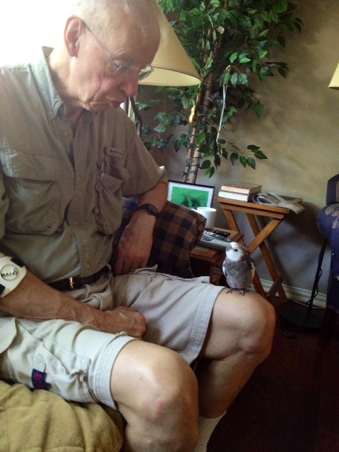 This shorter wide branch, for instance, is very cushy and comfy.