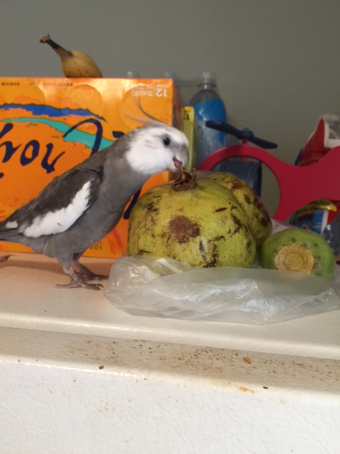 Don't make me have to go looking for it!