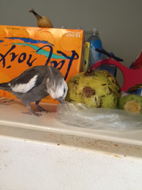 "Lost your clearance?" As if. So now it is time to find it - and quickly.