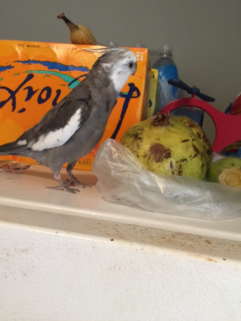 Yup. My .007 "threat detection instincts" never fail me.