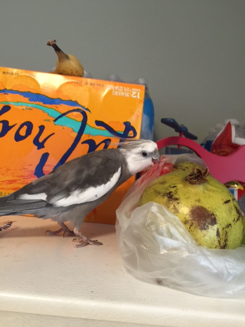 I'll bet you don't have a security clearance at all.