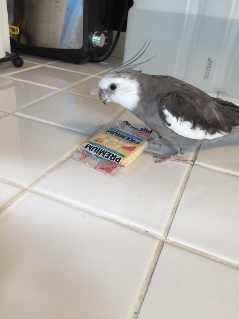 Okay, so now you can tell me all about yourself.