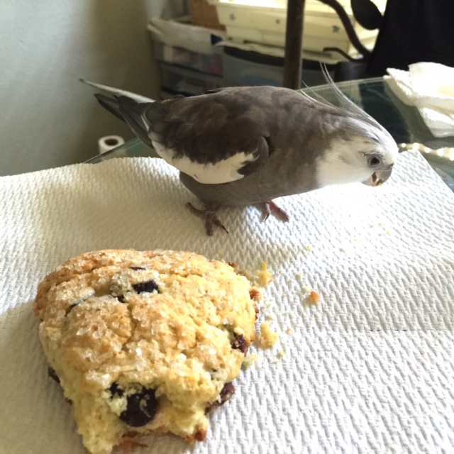 Hum dee dum dee dum dee dee dee dum....