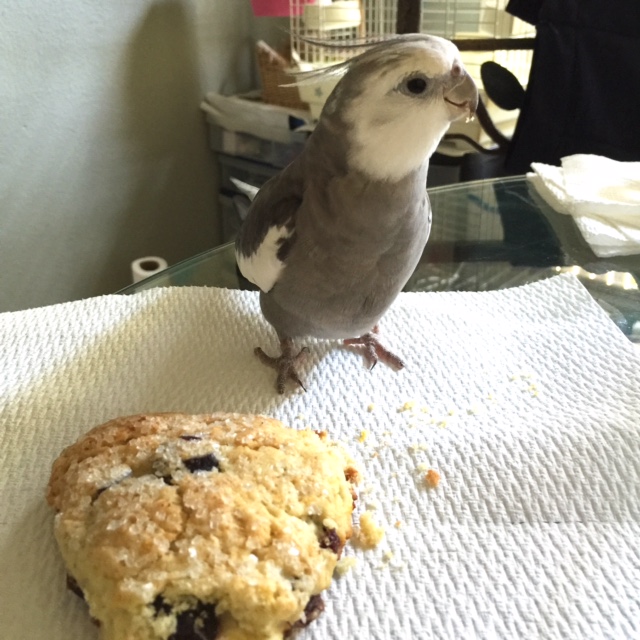 Although - odd - something does smell awfully good.