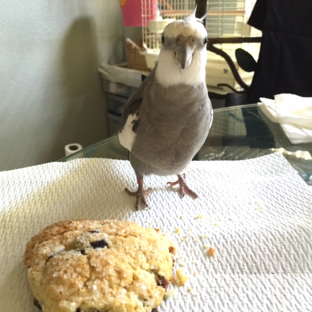 Nope, Mom - I've got this. No I don't need backup.