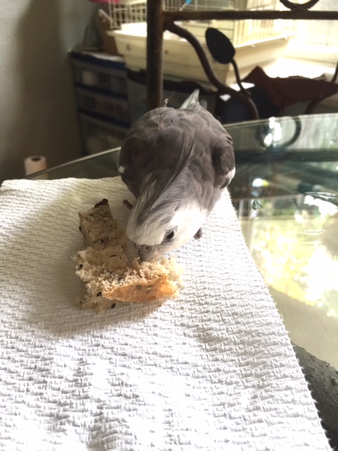 Okay, boys, listen up. Here's how this is going to go.