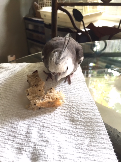 And I can tell it is very nearby.