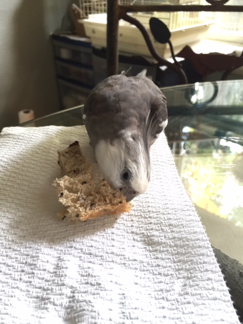 You've got two options here. One, you come out right now, quietly and in an orderly fashion. Or two, I come in and get you (this choice won't be so orderly).