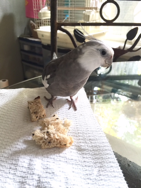 Stand back, Mom - I've got this one.