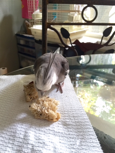 Hmmmm. Yup. I was right. And it's not just one threat either - it's a whole band of threats!