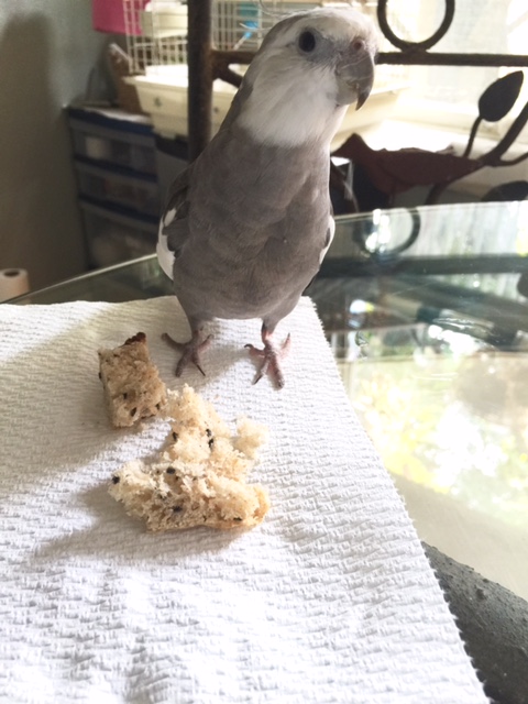 Yes, Mom, you can come back now - the threat has been, um, neutralized.