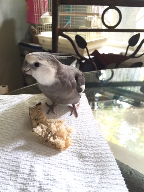 I can't explain how I know, but I just know there is a threat to security. 