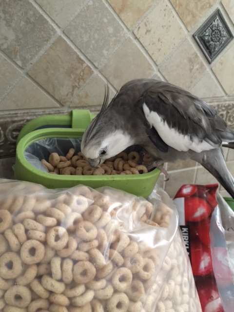 What's that? You'd like to hold a press conference to announce my leadership to the world?