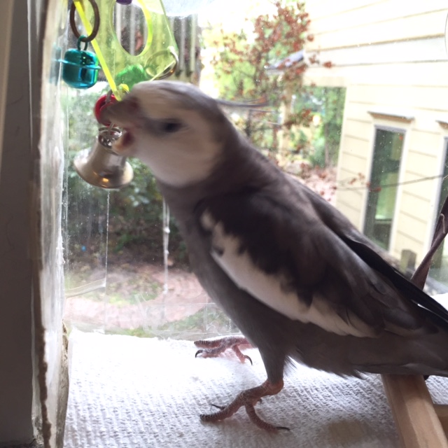 I always like to take the lead in any sparring match - I call this technique "My Way Sparring."