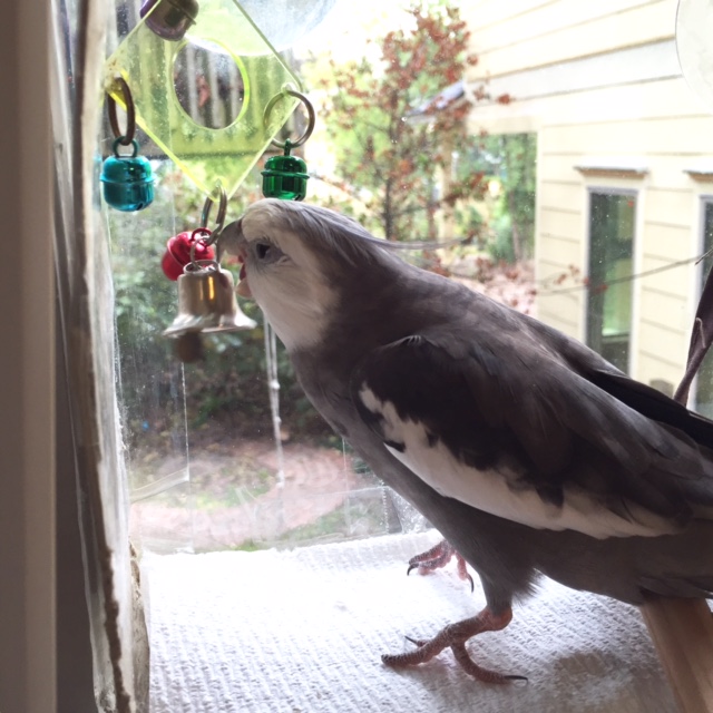 I like to begin with "biting" - one of the all-time most effective offensive maneuvers.