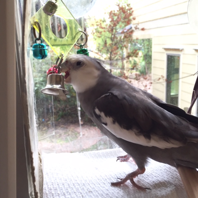 Now that I've warmed up I will practice my super-secret sparring maneuvers.