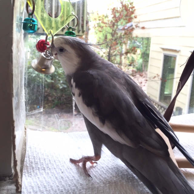 I'll just start with a light warm-up round.